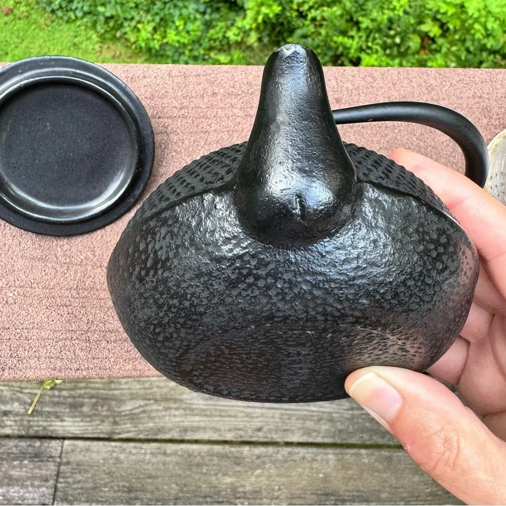 Japanese Cast Iron Arare Hobnail Tetsubin Style Teapot Infuser Black Made Japan